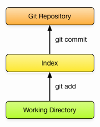 Git Basics